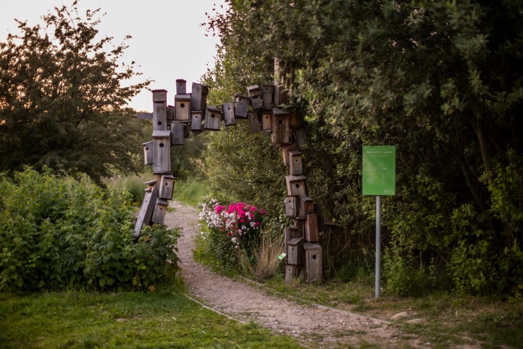 Lawendowe Pole Tajemniczy Ogród czyli mini ogród botaniczny w